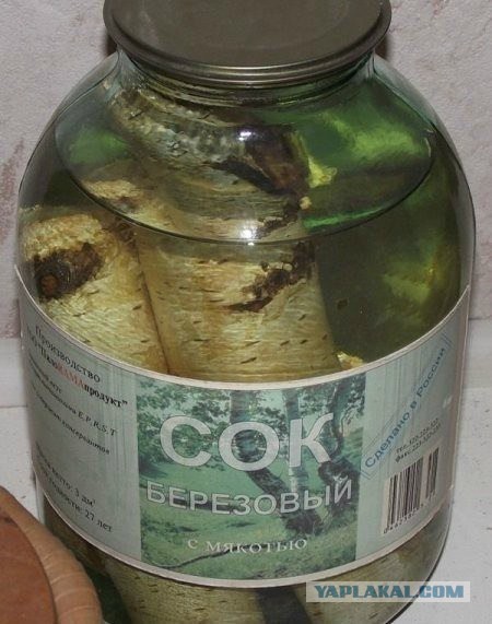 Берёзовый сок.