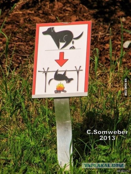 Картинки для хорошего настроения