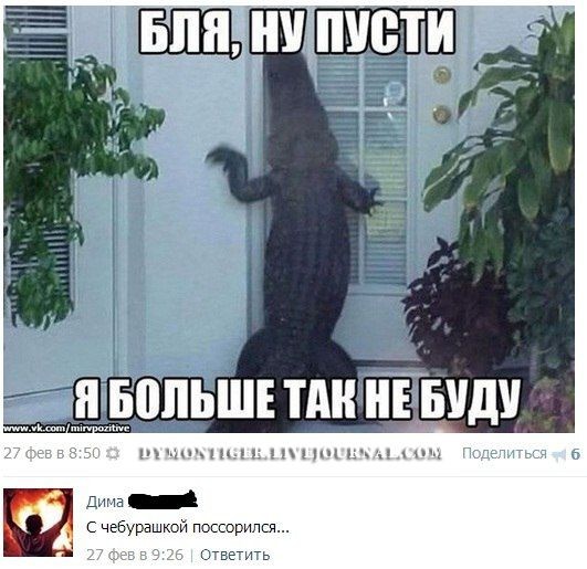 Смешное из соц сетей