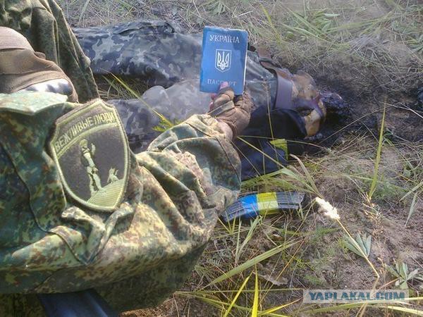 В Донбассе уничтожен активный член ОПГ "Тризуб им.