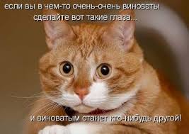 Добряки, плюсующие всех подряд