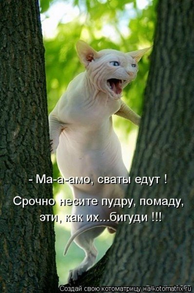 Поднимаем настроение