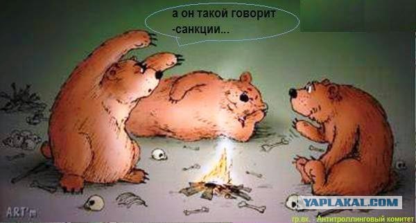 Санкционный бумеранг