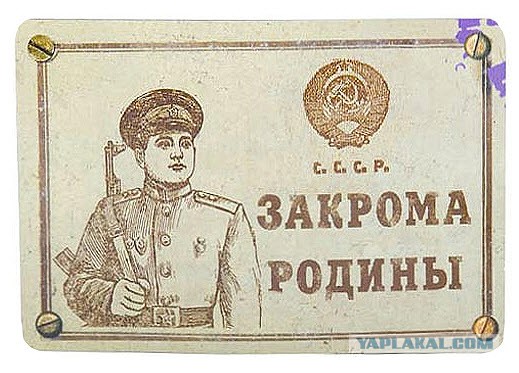 Бизнесмен предложил Собчак пожить на 15 т.р.