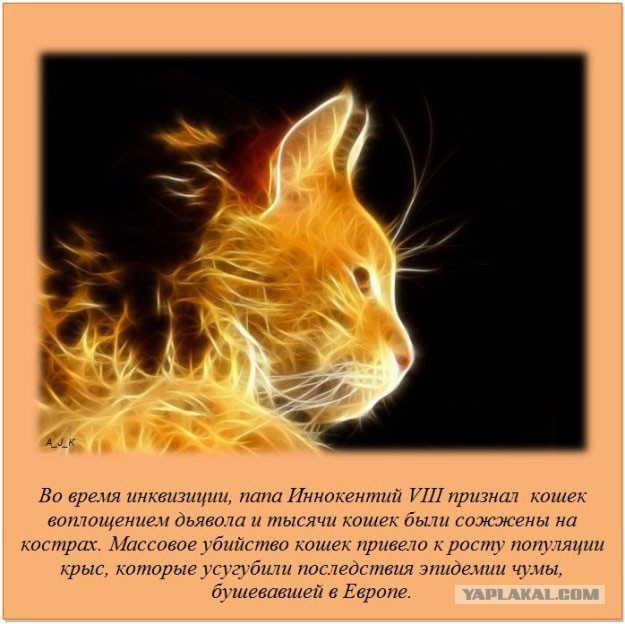 20 фактов обо всем