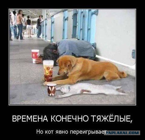 Демотиваторов пост