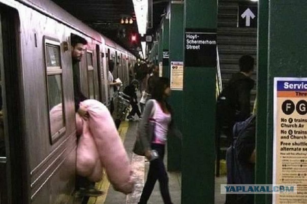 Смешные картинки