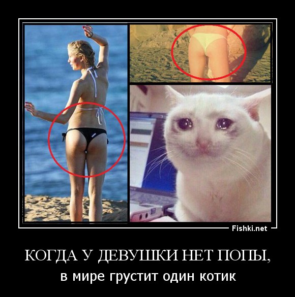 Если есть кошачье ню, то оно выглядит вот так...