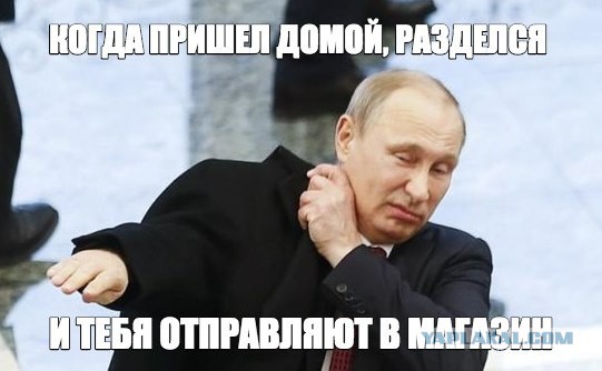 Картинок из сети немножко