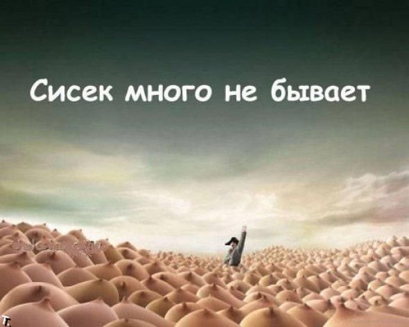 6 терминов, определяющих положение женской груди.