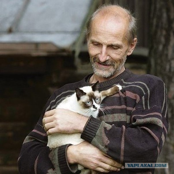 Деды и коты