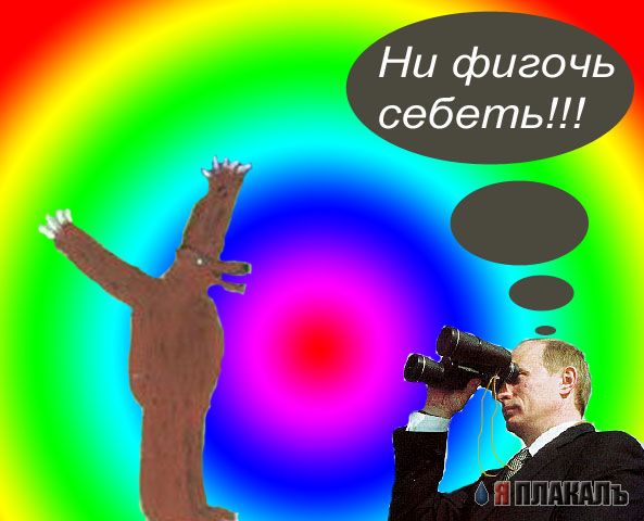 Превед медвед!
