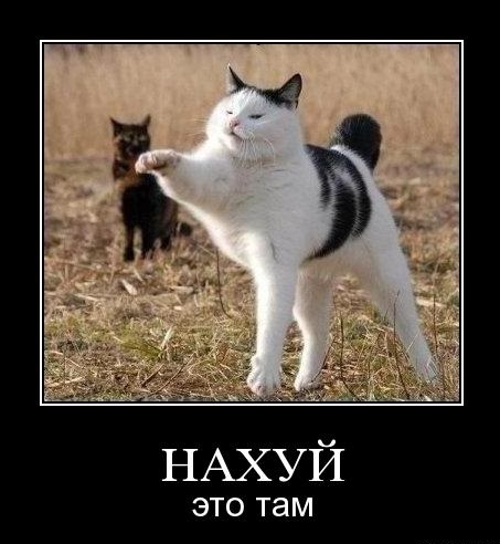 Wargaming 32