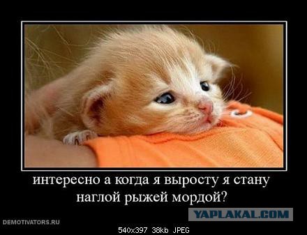 Демотиваторы на пятницу!