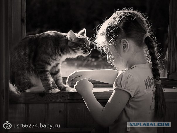 Дети и коты