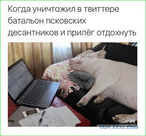 Майдан. Прямая трансляция.