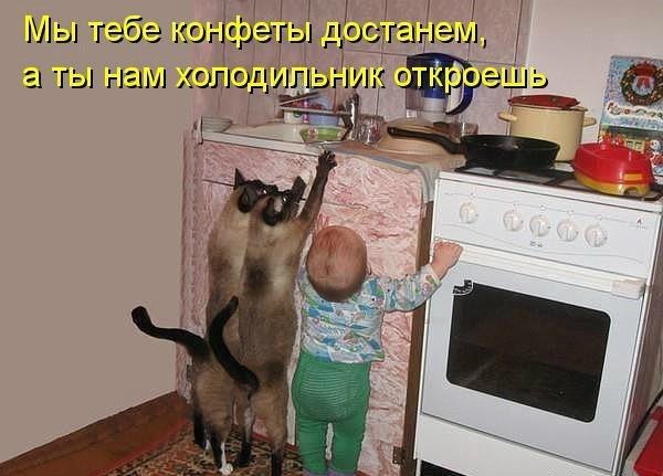 Мохнатые беспредельщики
