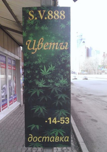 Ужасы и приколы из соцсетей