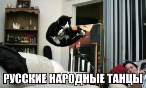 Мохнатые беспредельщики