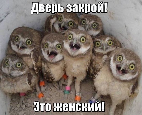 Картинки на понедельник