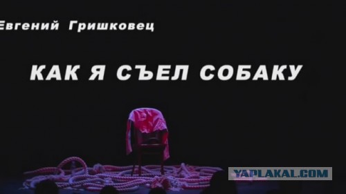 В Лондоне зоозащитная организация публично "зажарила собаку"