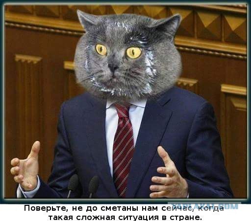 Время выбрало нас...