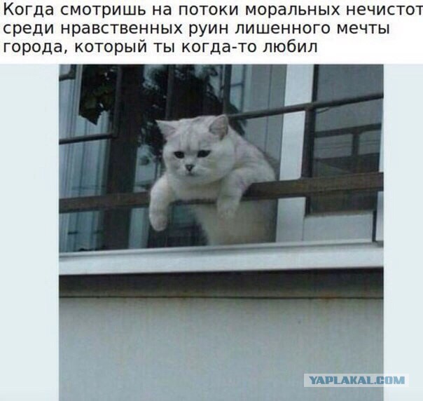 Мир без рептилий! Остановим их вместе!