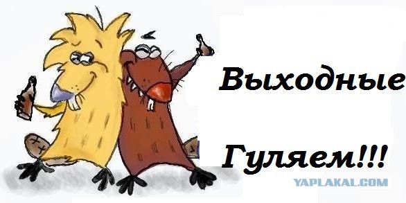 В лесу порой опасно ходить - бобры шалят