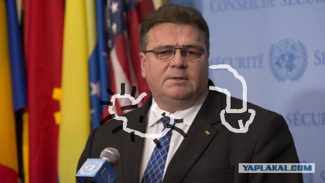 Глава МИД Литвы: "Россия - это не супердержава, а суперпроблема"