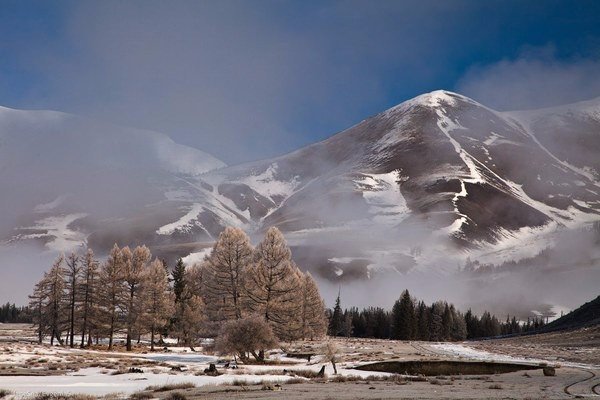 Моменты, запечатлённые на фото и просто позитив 5