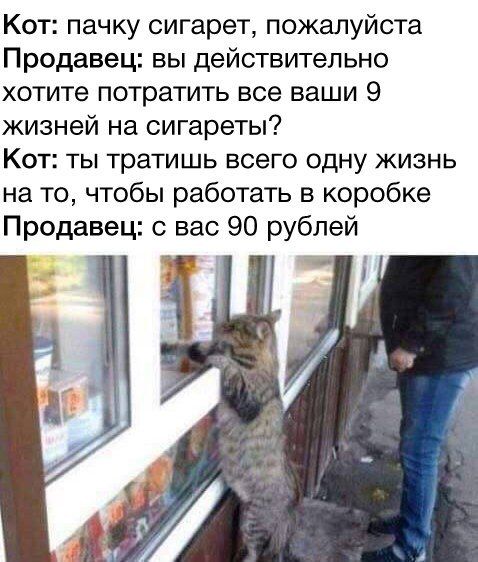 Фото всякое разное