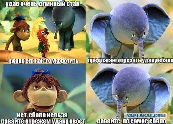 Фото висящего вниз головой питона с опоссумом в зубах шокировало туристов
