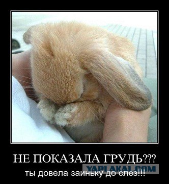 Женщины ЯПа нарушают регламент