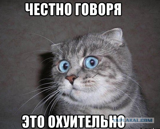 Тихая охота, или просто выходной.