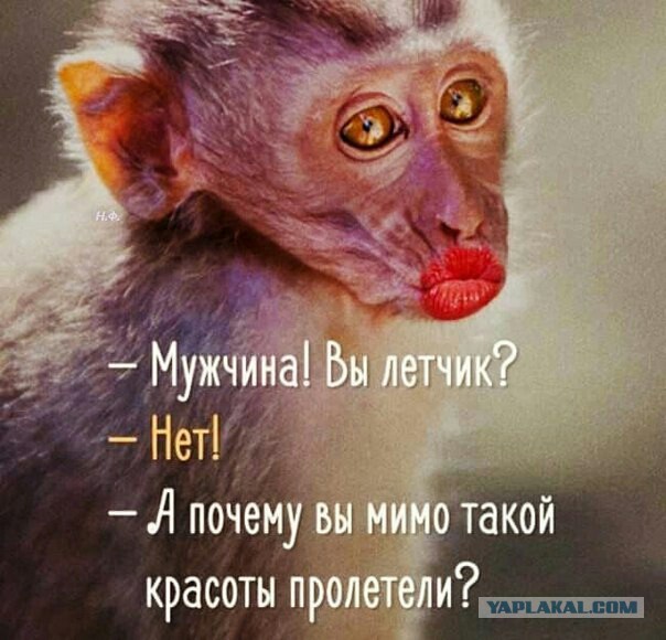 Неравенство полов