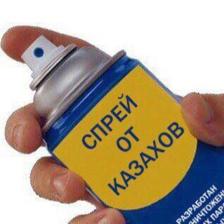 Назарбаев утвердил новый казахский алфавит на основе латиницы