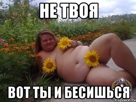 Самые известные мемы в истории Интернета