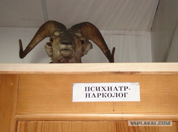 Подборка картинок из Интернета