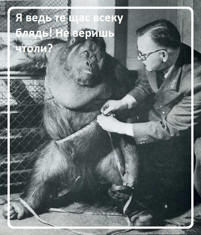 НестандАРТ v.2.0