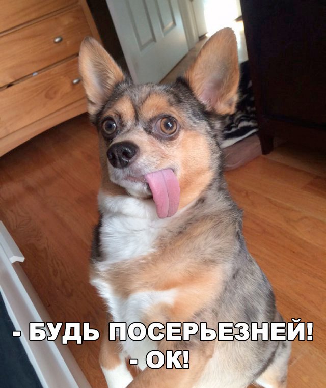 Нестандартный юмор