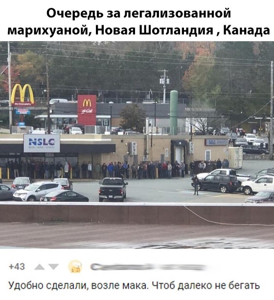 Прикольные комментарии и высказывания из Сети  17.10.2018