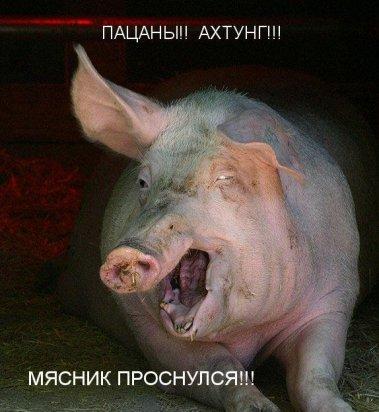 Скосорылило, скособочило!