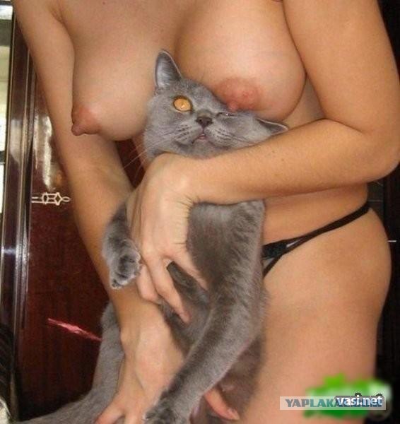 Я слышал тут любят котэ