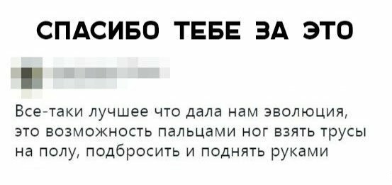 Анекдоты, соц-сети и картинки с надписями