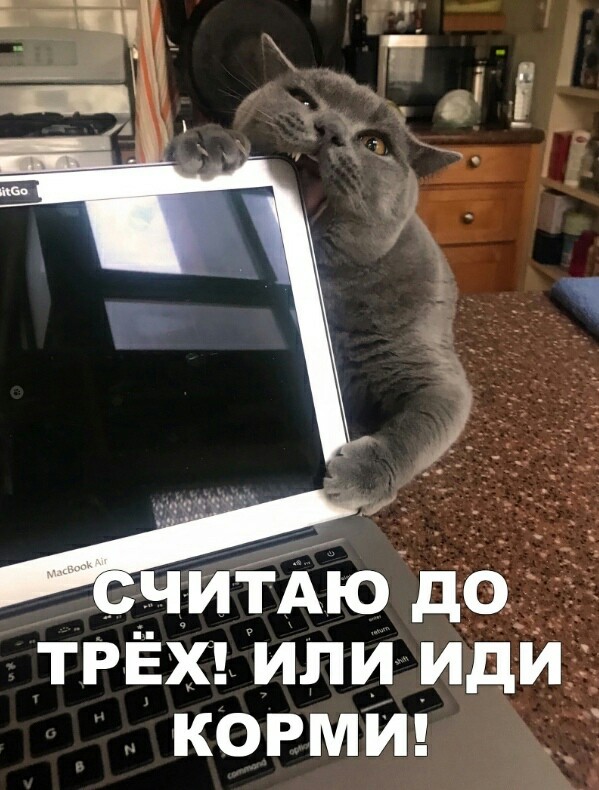 «Картинки разные нужны, картинки разные важны»  18.09