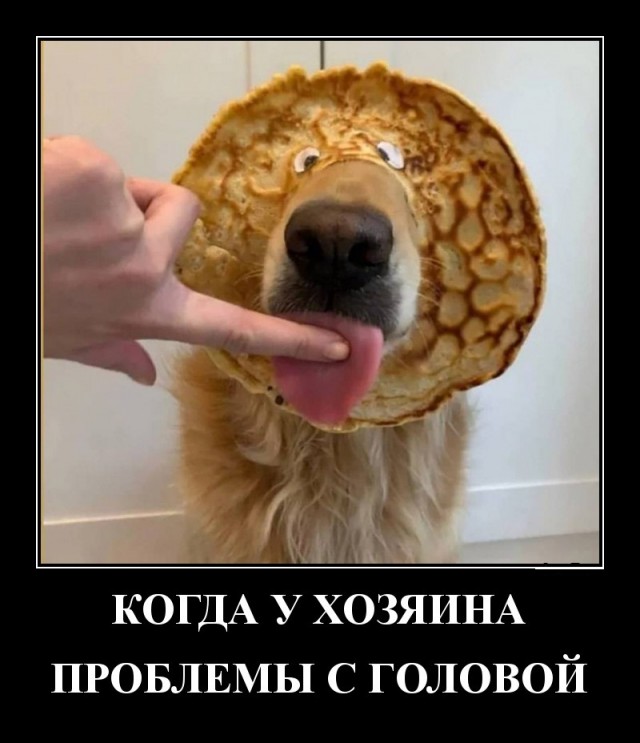 Картинки разные
