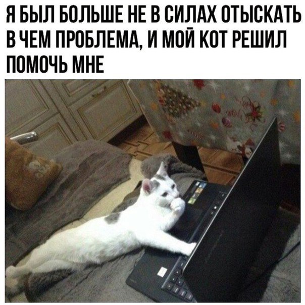 Прикольные картинки и фото с надписями и коментами????