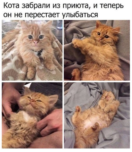 Немного картинок для настроения 25.01.20