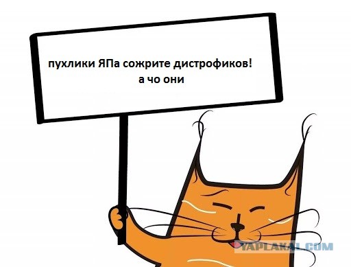 Полные мужчины лучшие любовники: неожиданные результаты
