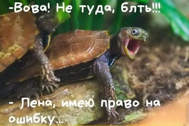 Отправили в плавание